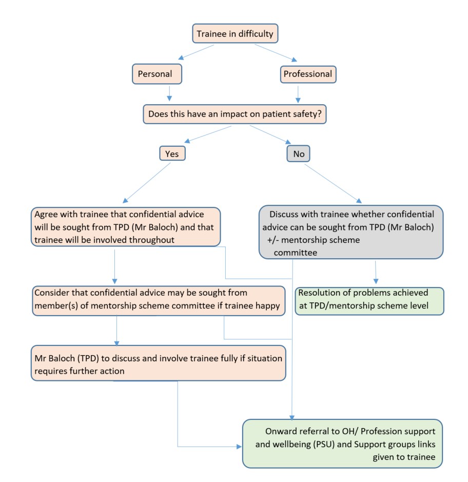 Flowsheet 2.jpg